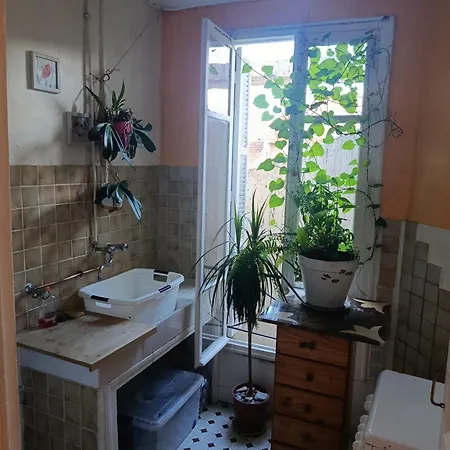 Homestay szállás Nicoise