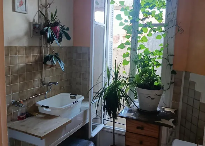 Homestay szállás Nicoise